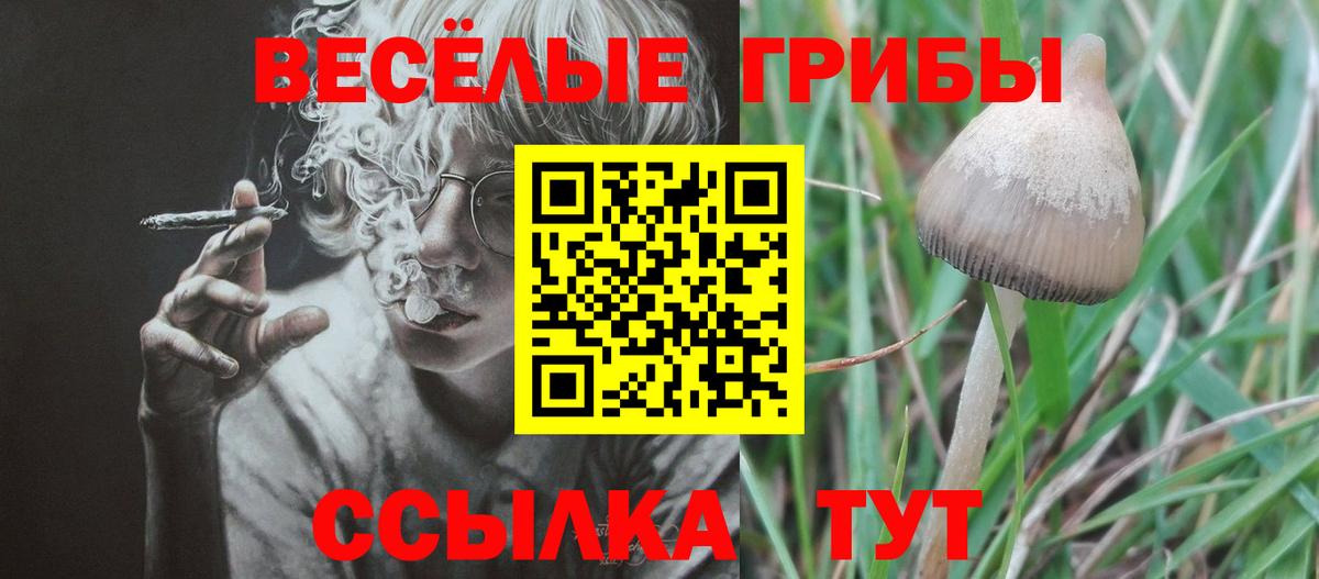 Галлюциногенные грибы Psilocybe  Псилоцибиновые грибы ЛСД  Вход с VPN  Карачаевск 
